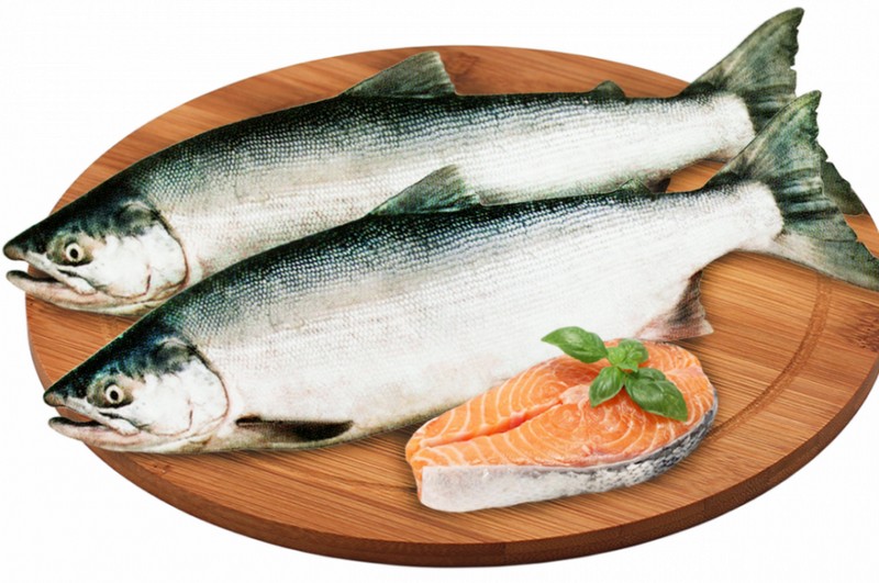  ���� ������� �/� 