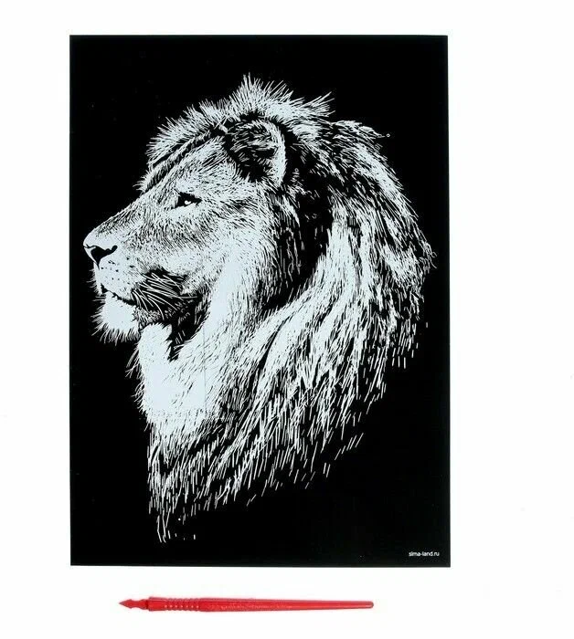  ������� ��� ������� 