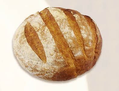  ���.�\� �� �/� ��� ������ (�����������) 380� ����������� ���� 