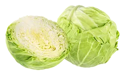 Капуста свежая